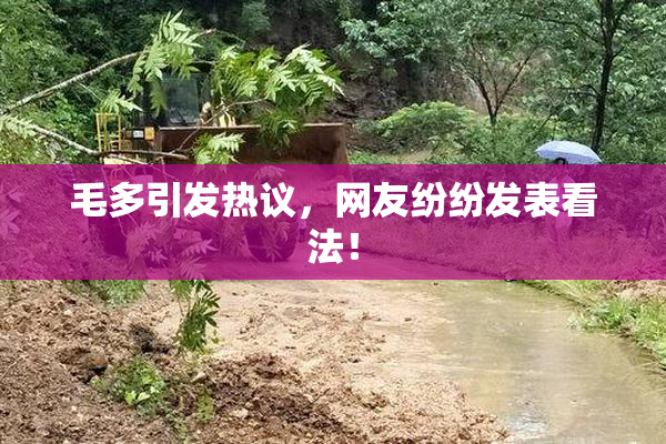 毛多引发热议，网友纷纷发表看法！
