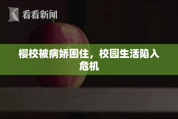 樱校被病娇困住，校园生活陷入危机