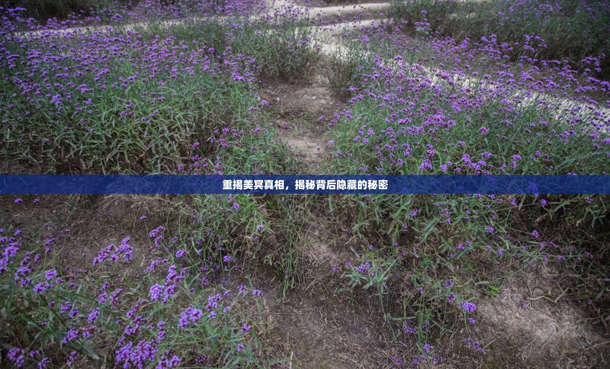 重揭美冥真相，揭秘背后隐藏的秘密