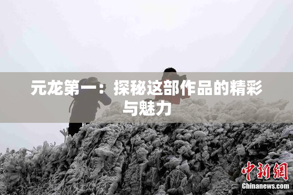 元龙第一：探秘这部作品的精彩与魅力