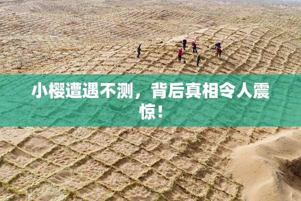 小樱遭遇不测，背后真相令人震惊！