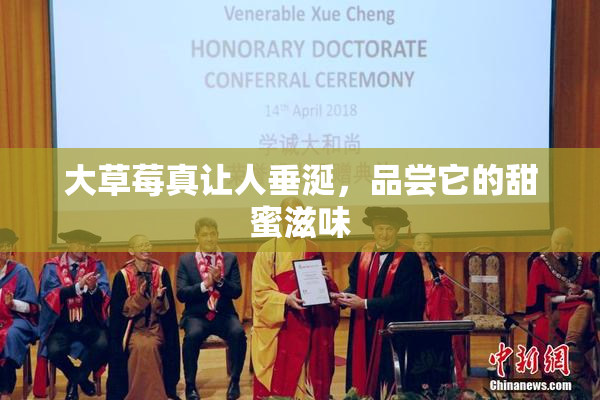 大草莓真让人垂涎，品尝它的甜蜜滋味