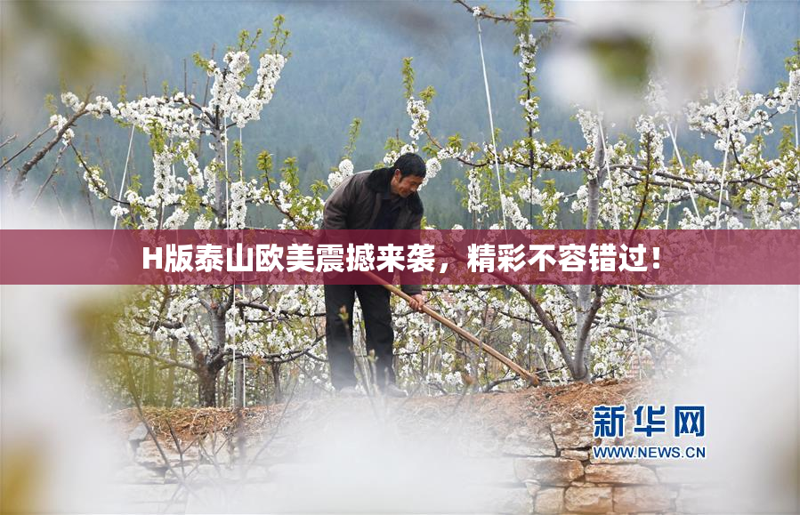 H版泰山欧美震撼来袭，精彩不容错过！