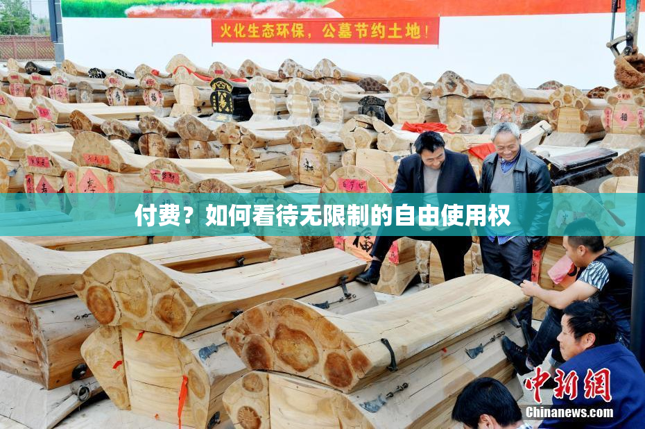 付费？如何看待无限制的自由使用权