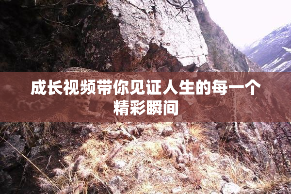 成长视频带你见证人生的每一个精彩瞬间