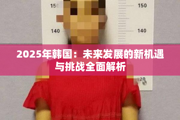 2025年韩国：未来发展的新机遇与挑战全面解析