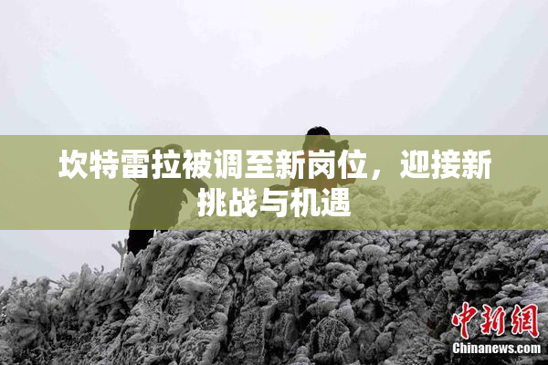 坎特雷拉被调至新岗位，迎接新挑战与机遇