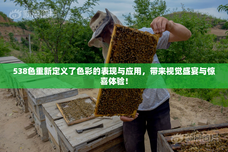 538色重新定义了色彩的表现与应用，带来视觉盛宴与惊喜体验！
