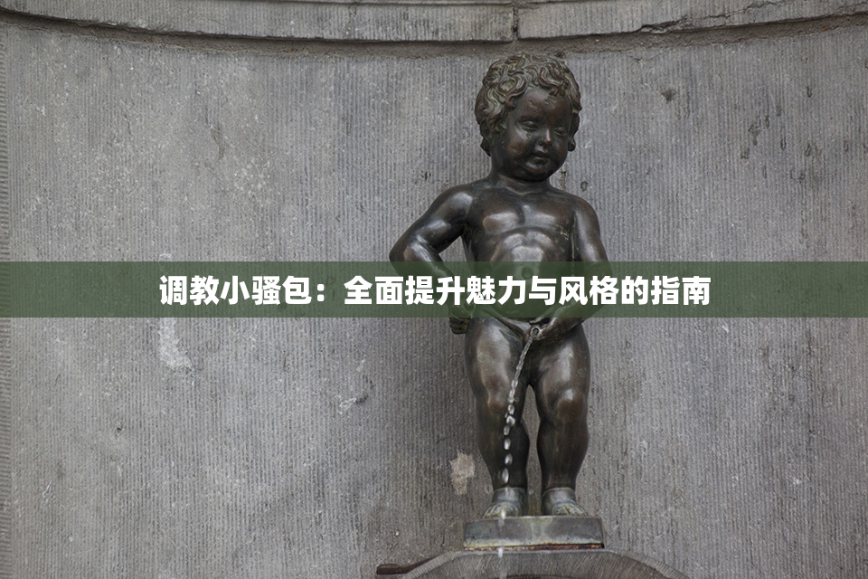 调教小骚包：全面提升魅力与风格的指南