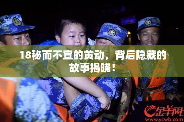 18秘而不宣的黄动，背后隐藏的故事揭晓！