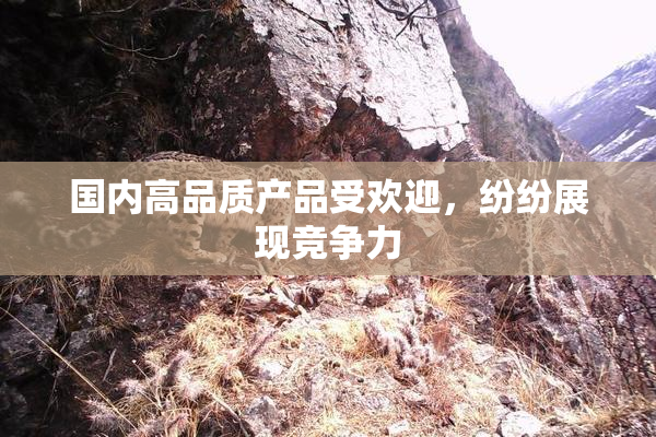 国内高品质产品受欢迎，纷纷展现竞争力
