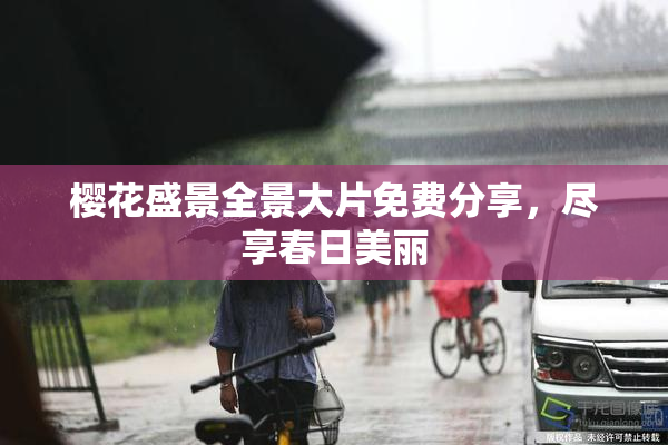 樱花盛景全景大片免费分享，尽享春日美丽