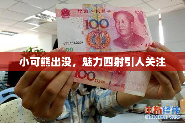 小可熊出没，魅力四射引人关注