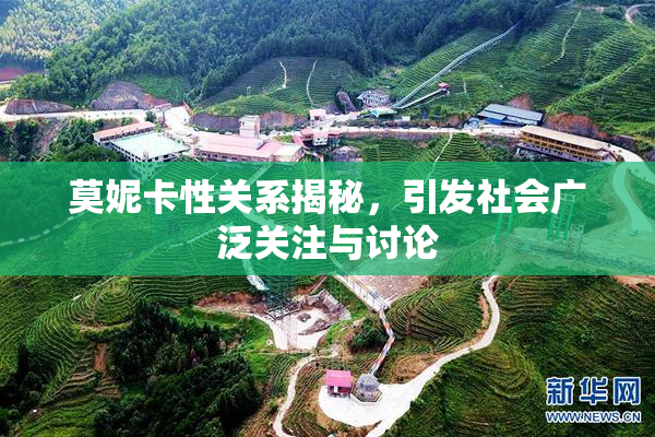 莫妮卡性关系揭秘，引发社会广泛关注与讨论