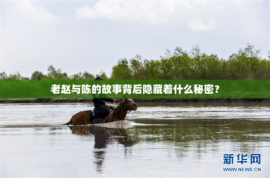 老赵与陈的故事背后隐藏着什么秘密？