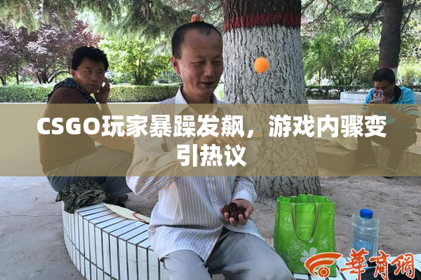 CSGO玩家暴躁发飙，游戏内骤变引热议