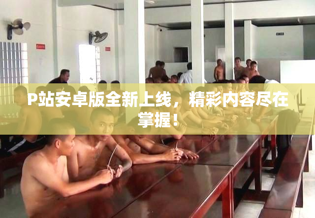 P站安卓版全新上线，精彩内容尽在掌握！