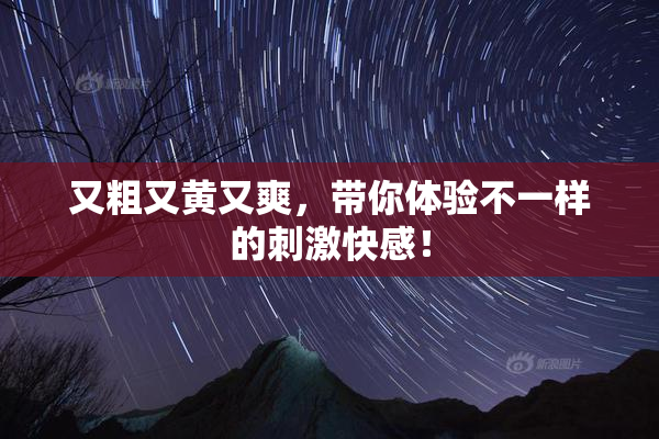 又粗又黄又爽，带你体验不一样的刺激快感！