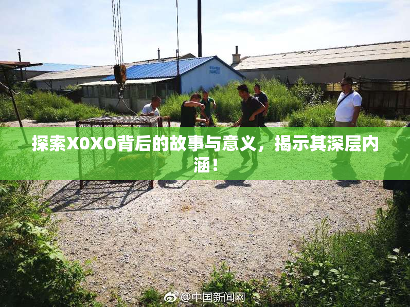 探索X0XO背后的故事与意义，揭示其深层内涵！