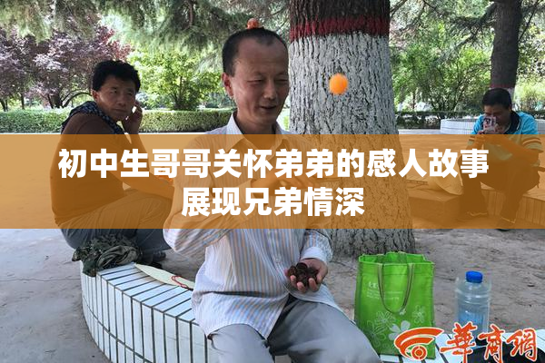 初中生哥哥关怀弟弟的感人故事展现兄弟情深
