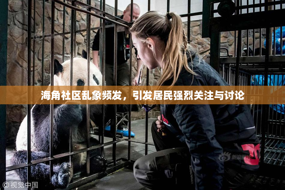 海角社区乱象频发，引发居民强烈关注与讨论