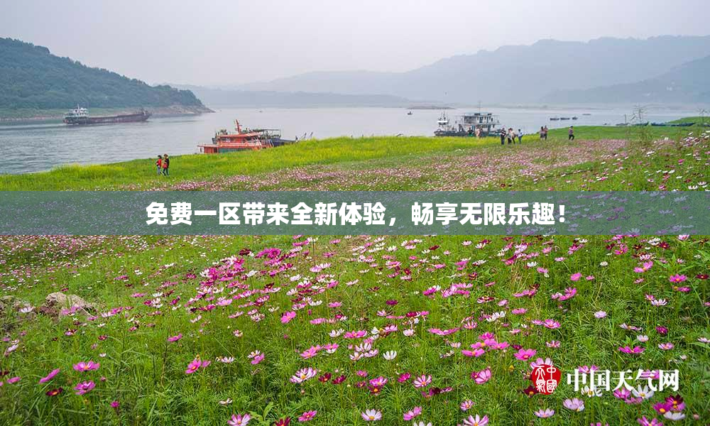 免费一区带来全新体验，畅享无限乐趣！