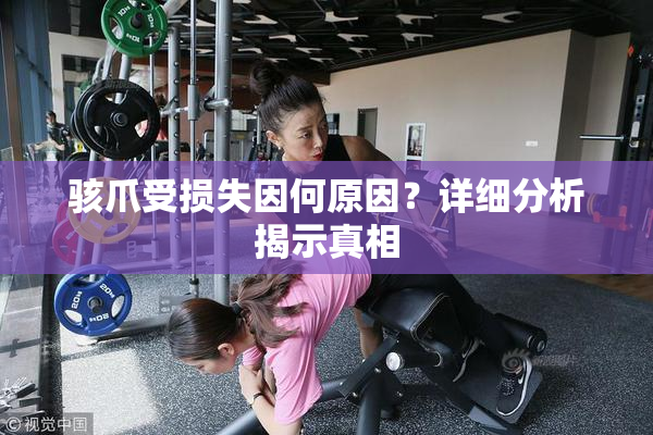 骇爪受损失因何原因？详细分析揭示真相