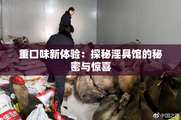 重口味新体验：探秘淫具馆的秘密与惊喜