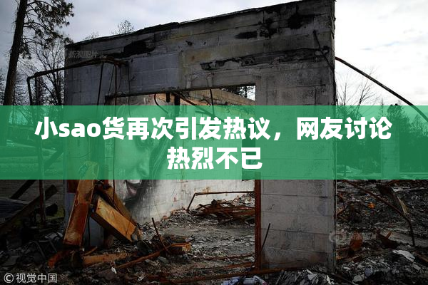 小sao货再次引发热议，网友讨论热烈不已
