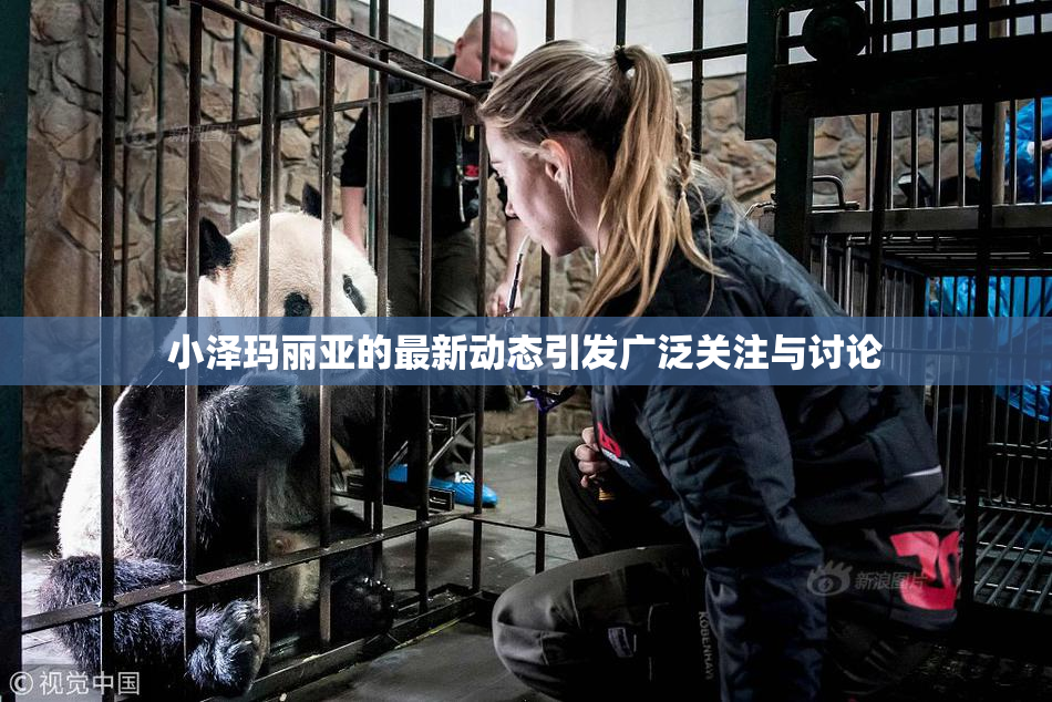 小泽玛丽亚的最新动态引发广泛关注与讨论