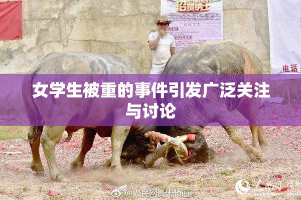 女学生被重的事件引发广泛关注与讨论