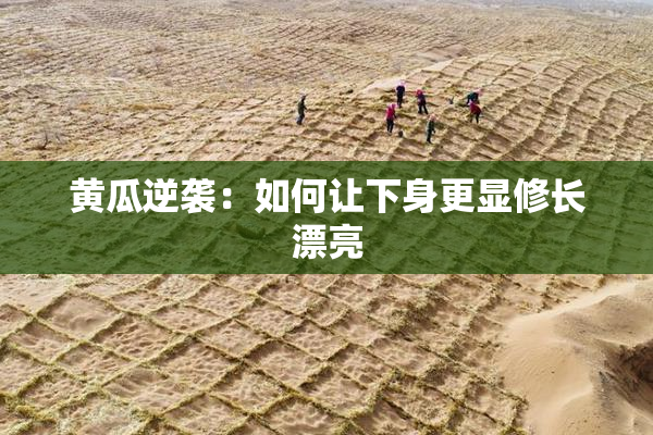 黄瓜逆袭：如何让下身更显修长漂亮
