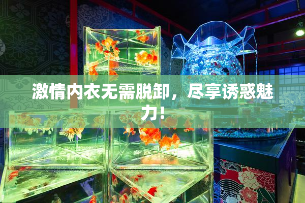 激情内衣无需脱卸，尽享诱惑魅力！