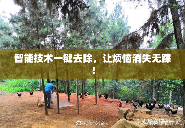 智能技术一键去除，让烦恼消失无踪！