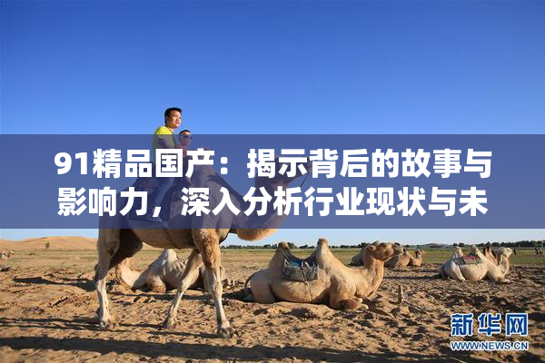 91精品国产：揭示背后的故事与影响力，深入分析行业现状与未来趋势
