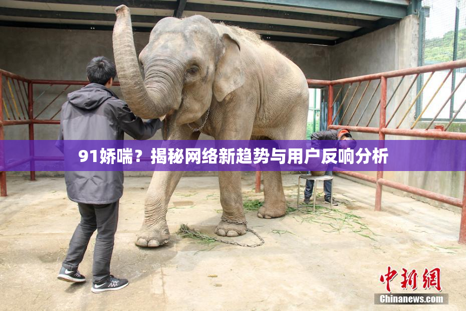 91娇喘？揭秘网络新趋势与用户反响分析