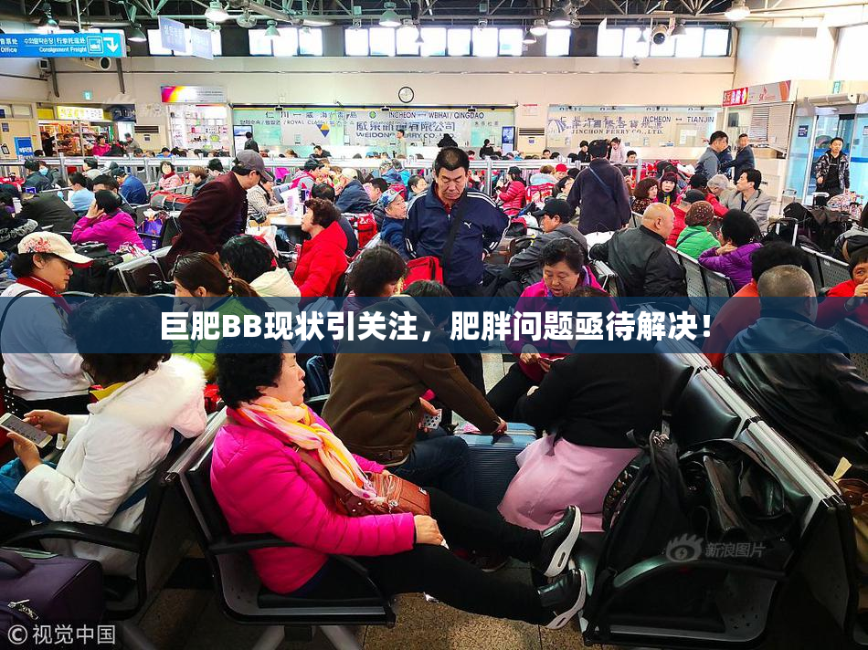 巨肥BB现状引关注，肥胖问题亟待解决！