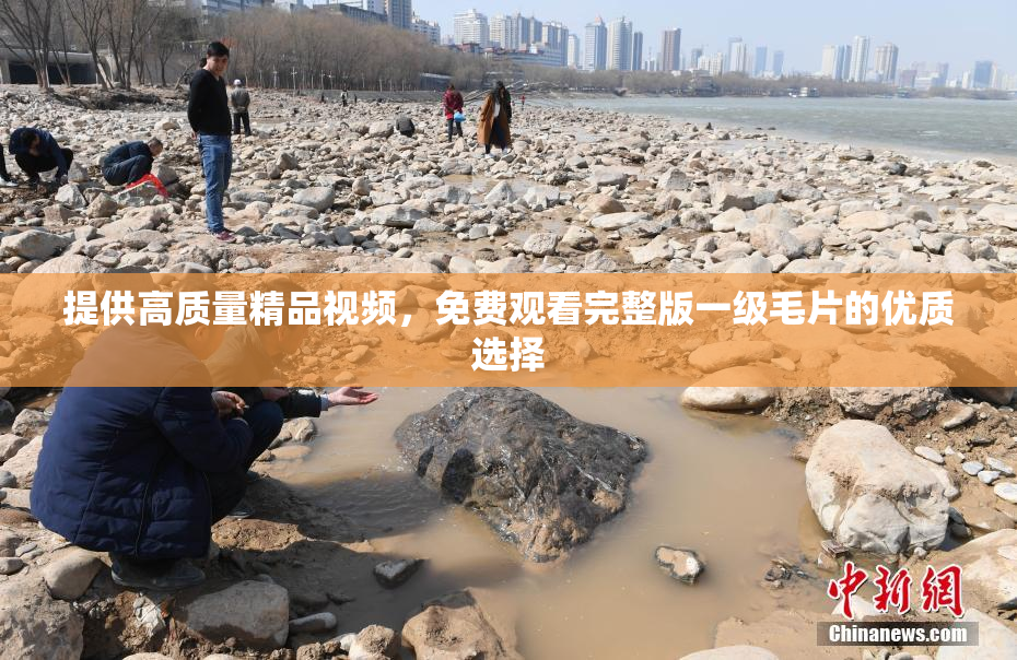 提供高质量精品视频，免费观看完整版一级毛片的优质选择
