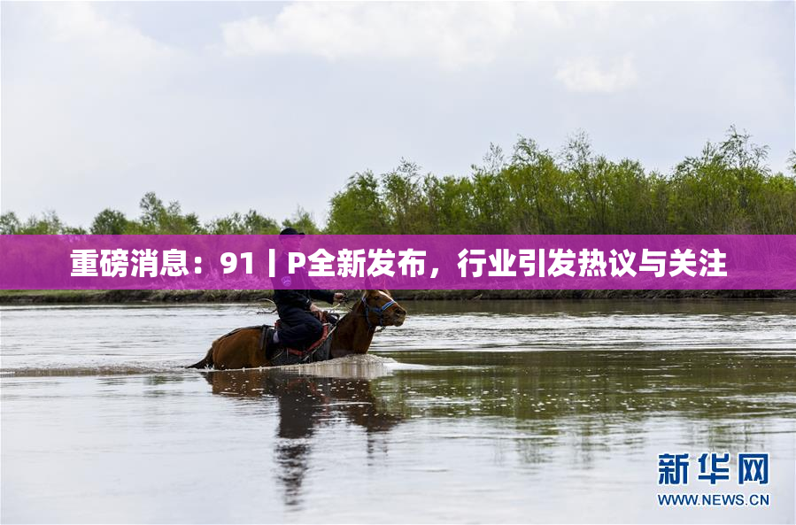 重磅消息：91丨P全新发布，行业引发热议与关注