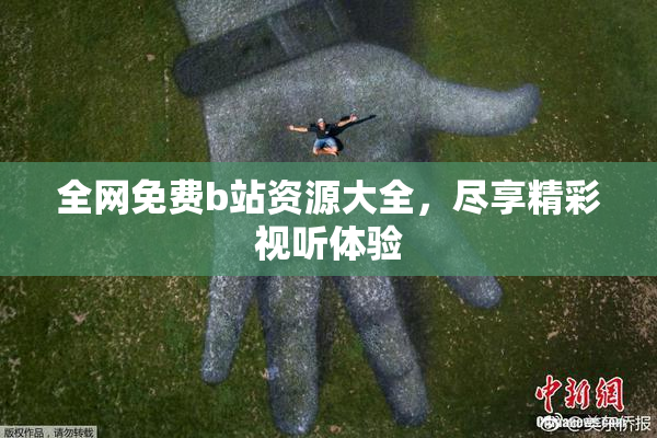 全网免费b站资源大全，尽享精彩视听体验
