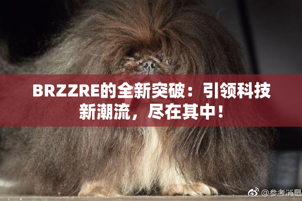 BRZZRE的全新突破：引领科技新潮流，尽在其中！