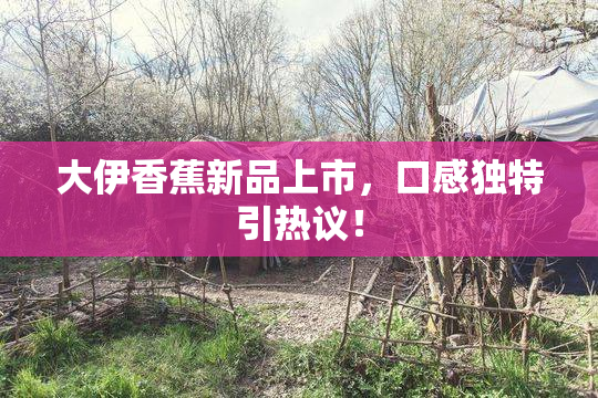 大伊香蕉新品上市，口感独特引热议！