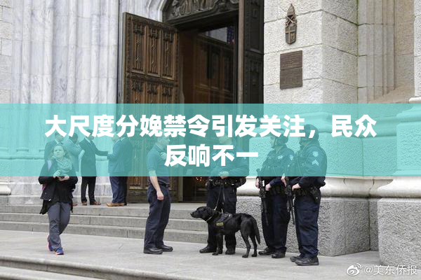 大尺度分娩禁令引发关注，民众反响不一