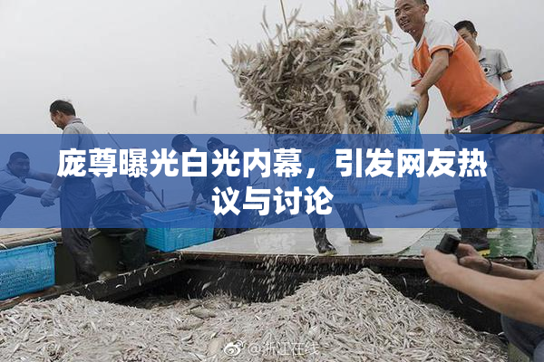 庞尊曝光白光内幕，引发网友热议与讨论