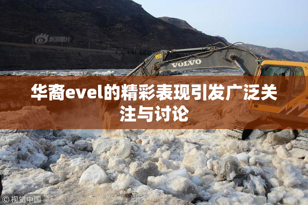 华裔evel的精彩表现引发广泛关注与讨论