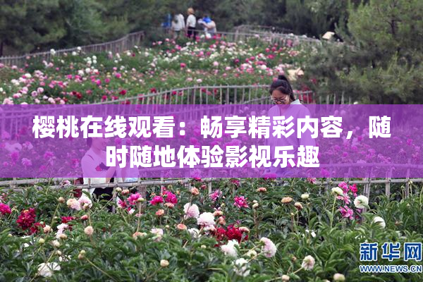 樱桃在线观看：畅享精彩内容，随时随地体验影视乐趣