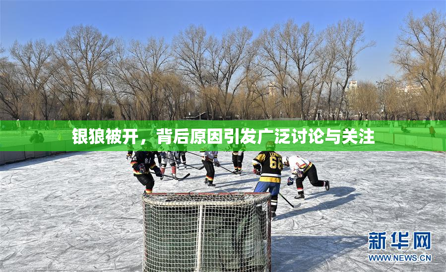 银狼被开，背后原因引发广泛讨论与关注