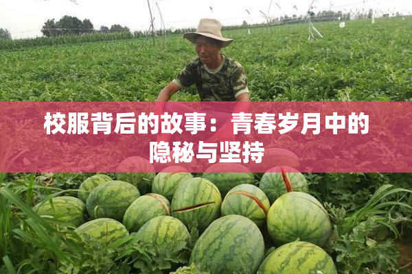 校服背后的故事：青春岁月中的隐秘与坚持
