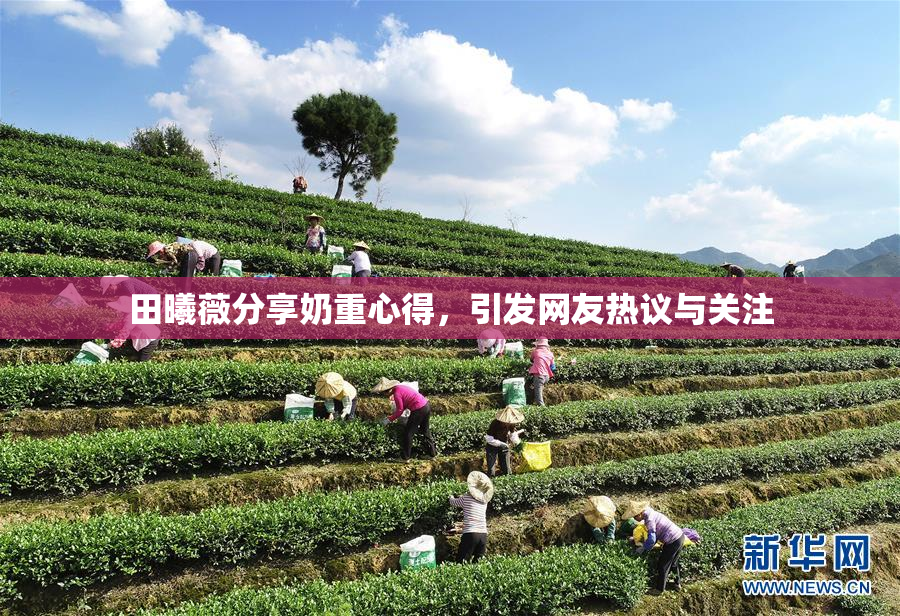 田曦薇分享奶重心得，引发网友热议与关注
