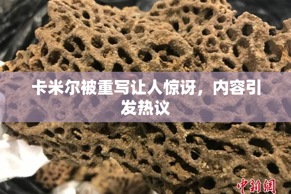 卡米尔被重写让人惊讶，内容引发热议